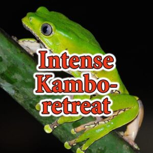 Intense Kambo Retreat, 3 dagar