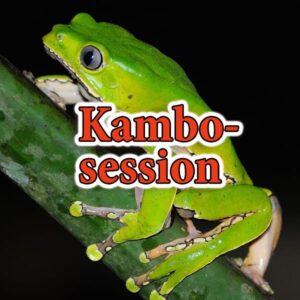 Kambosession 1 dag