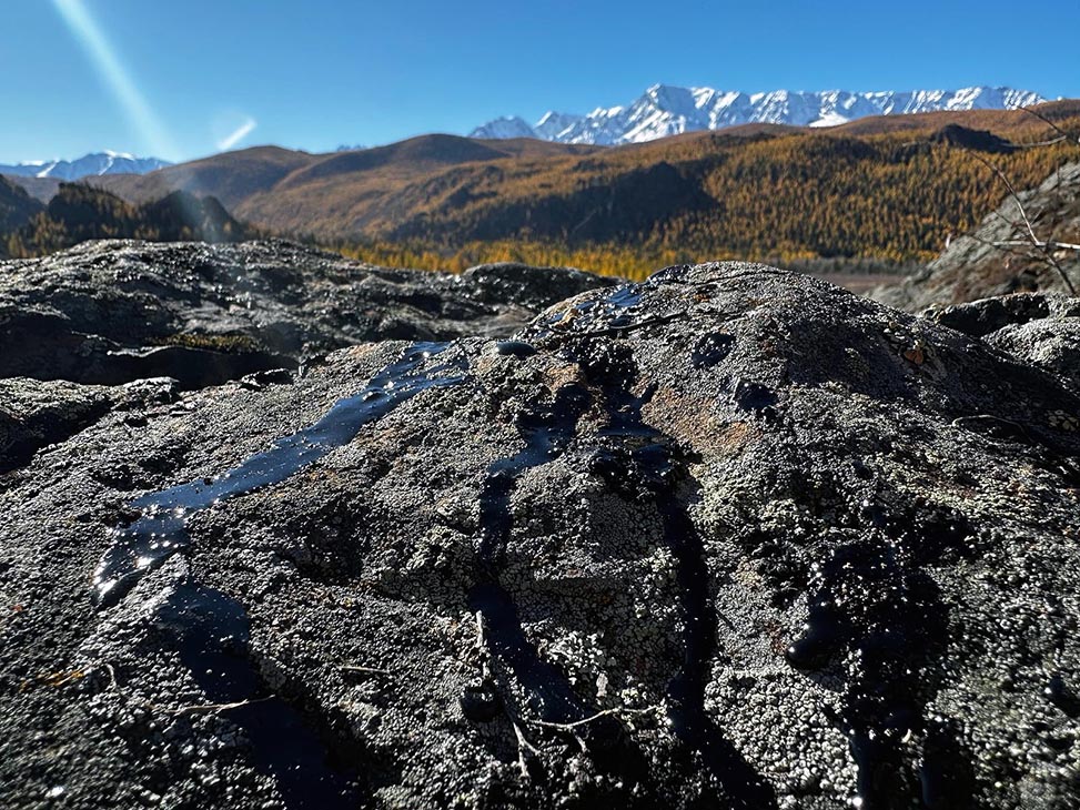 mountain gold shilajit sibirien